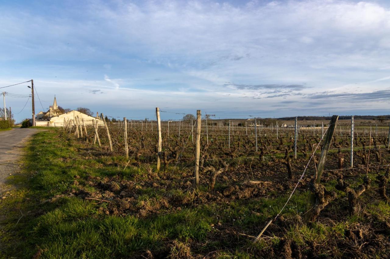 Maison Chaleureuse-Grand Jardin-Proche Saumur Parnay Экстерьер фото